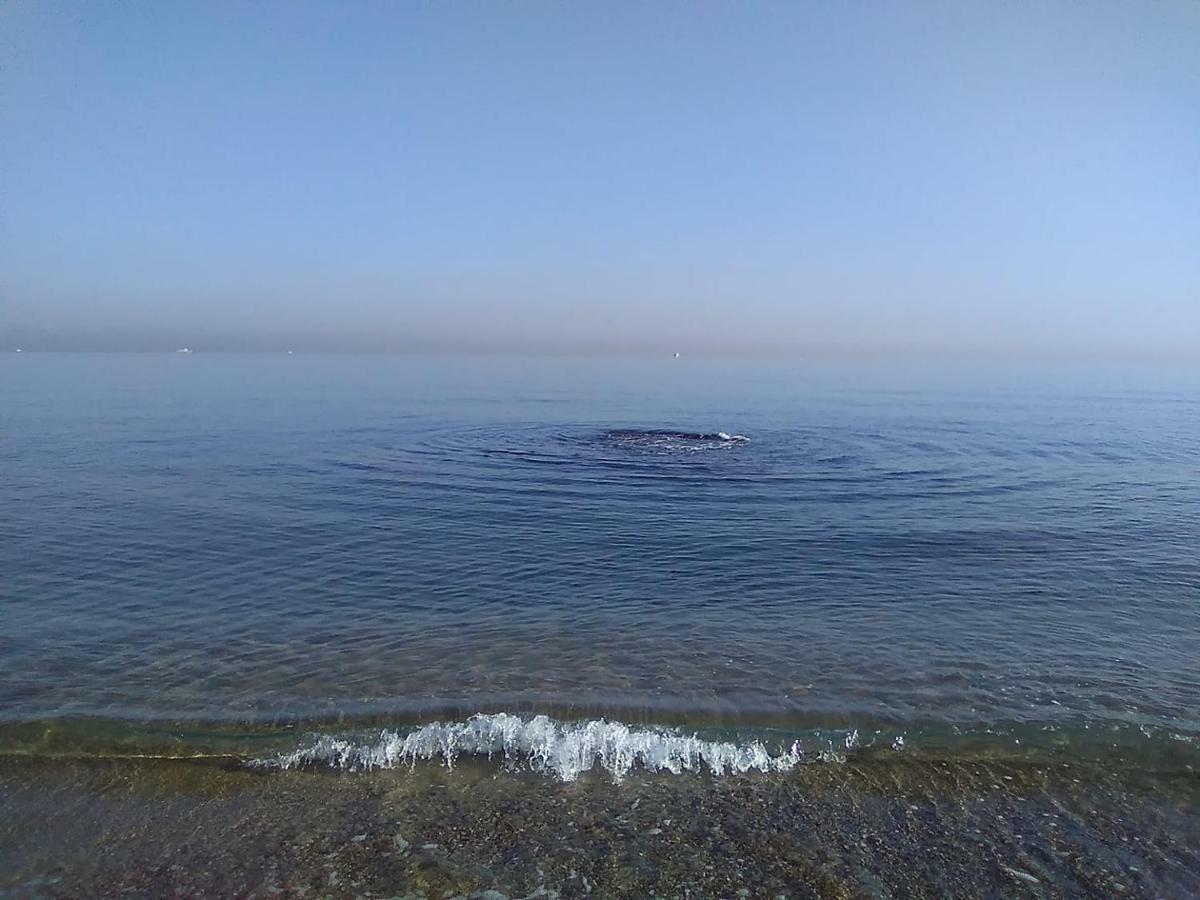 Holiday home Casa Gelsomino *